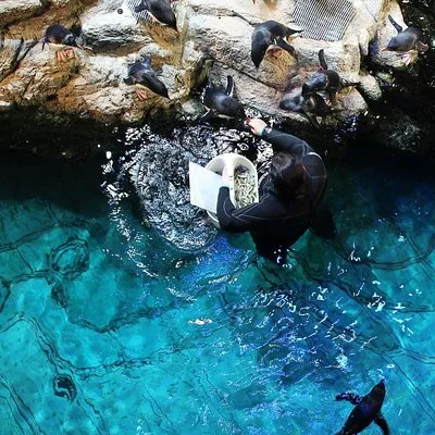 New England Aquarium